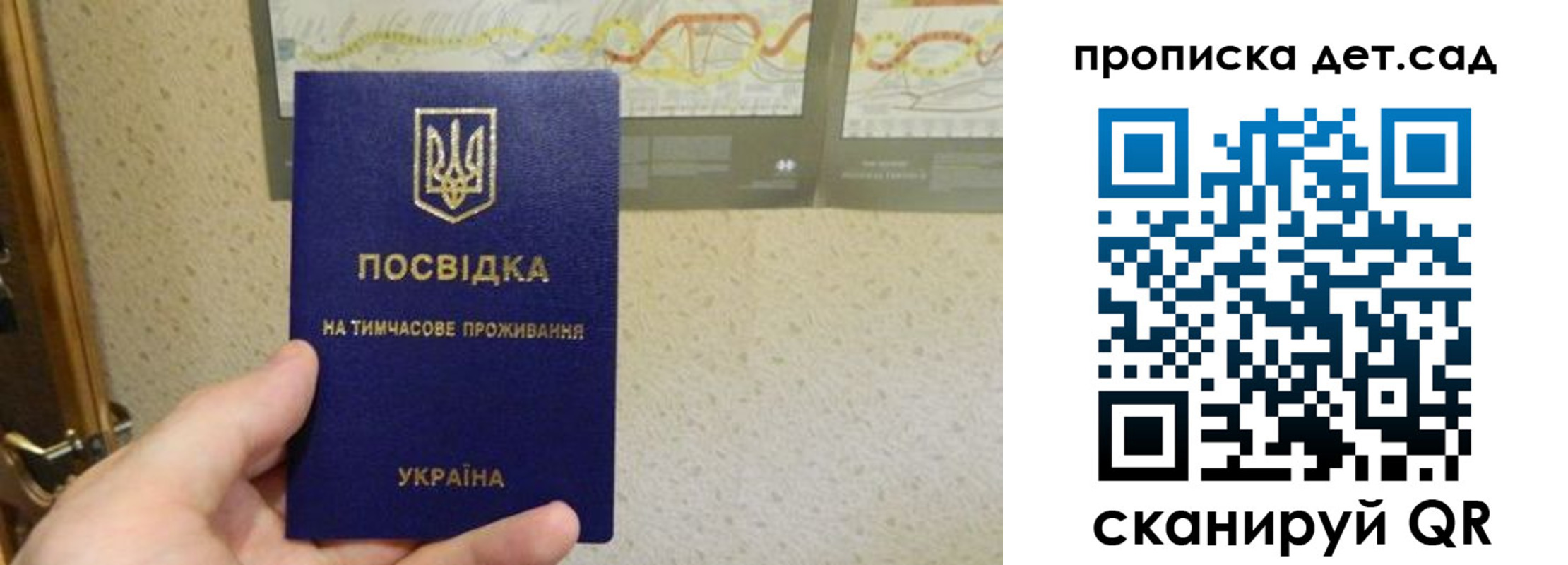 прописка для школы в Александрове